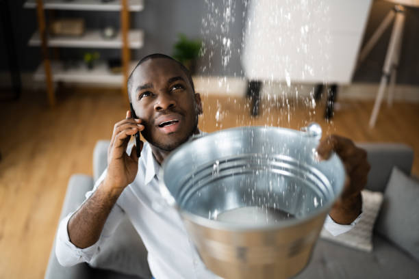 Best Water damage restoration near me  in Pico Rivera, CA