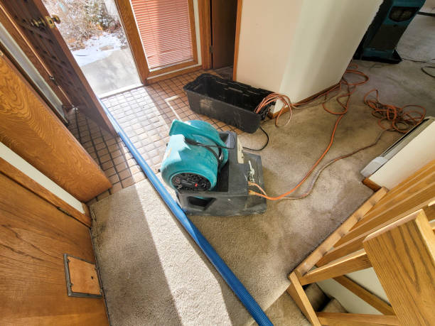 Best Flood restoration services  in Pico Rivera, CA