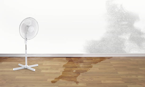 Best 24-hour water damage restoration  in Pico Rivera, CA
