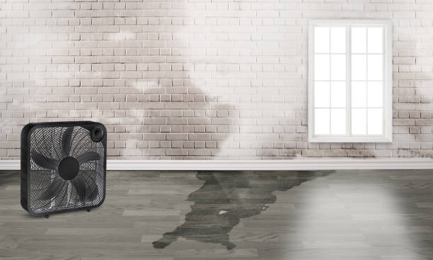Best Residential water damage restoration  in Pico Rivera, CA