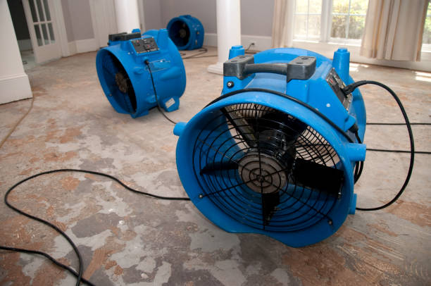 Best Local water damage restoration  in Pico Rivera, CA