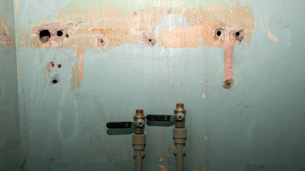 Best Water damage restoration near me  in Pico Rivera, CA
