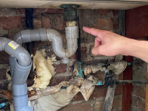 Best Carpet water damage restoration  in Pico Rivera, CA