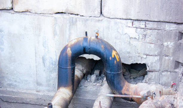 Best 24/7 water damage repair  in Pico Rivera, CA