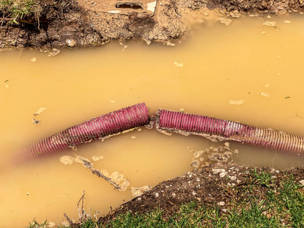 Best Water damage restoration services  in Pico Rivera, CA