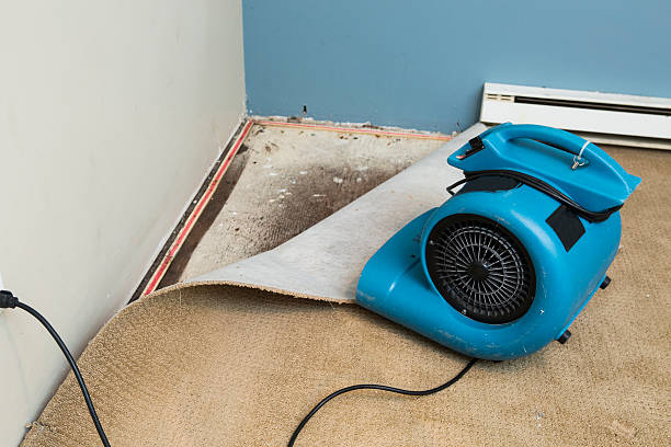 Best Ceiling water damage repair  in Pico Rivera, CA